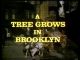 A Tree Grows in Brooklyn (1974 TV Movie) DVD-R