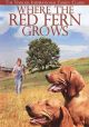 Where the Red Fern Grows (1974) on DVD