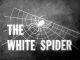 White Spider (1963) DVD-R
