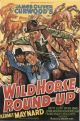 Wild Horse Roundup (1936) DVD-R