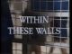 Within These Walls (1974-1978 TV series)(complete series) DVD-R