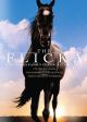 The Flicka Collection On DVD